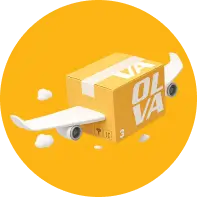 ilustracion digital envio aereo paqueteria